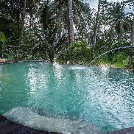 Sandana Ubud Villa Екстер'єр фото